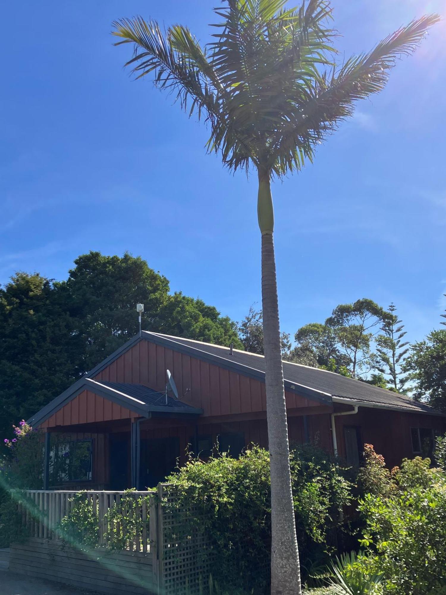 Ahipara Holiday Park 3*